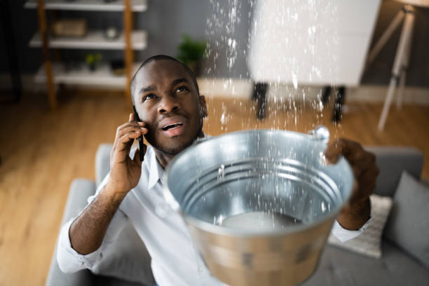  St Marys, WV Water damage restoration Pros