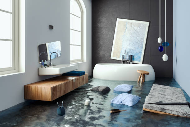 Best Mold removal after water damage  in St Marys, WV