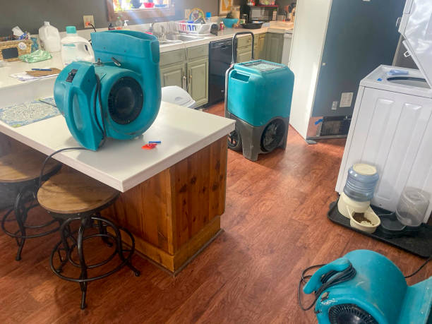 Water damage restoration mold remediation in St Marys, WV