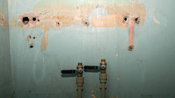 Best Water damage contractors near me  in St Marys, WV