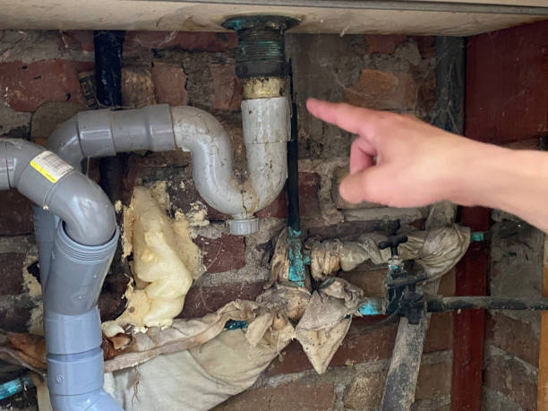 Best Professional water damage repair  in St Marys, WV